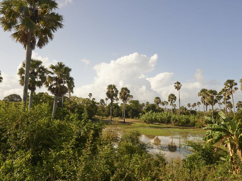 صورة الفندق 15