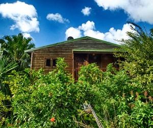 Le Parc aux Orchidées Baille-Argent Guadeloupe