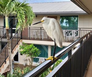 Caribbean Beach Club by Capital Vacations Fort Myers Beach United States