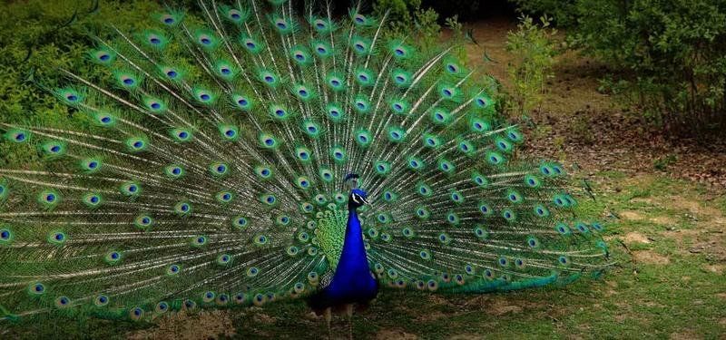 صورة الفندق 18