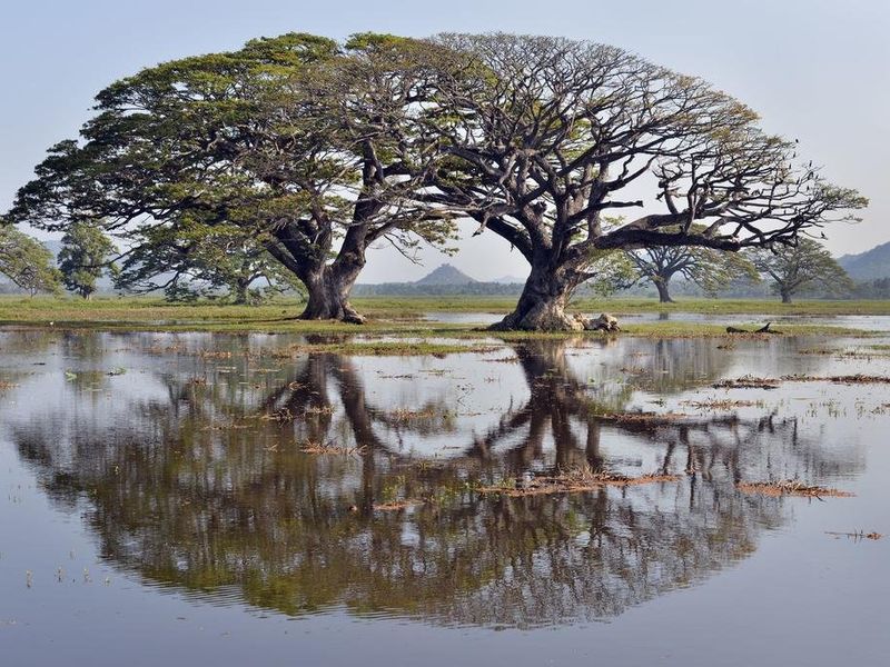 صورة الفندق 19