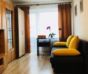 Apartment on Bagrationa 124 Kaliningrad Russia