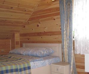 Guest House U Babolovskogo Parka Pushkin Russia