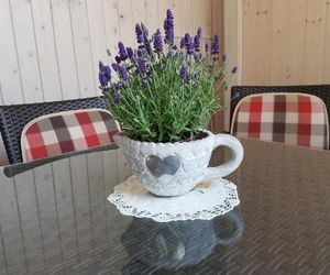 Apartmaji Sušnik Bled Slovenia