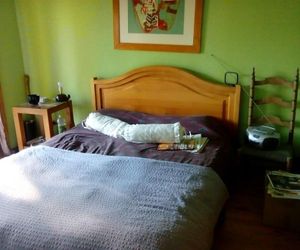 Hostal Flor del Bosque Villarica Chile