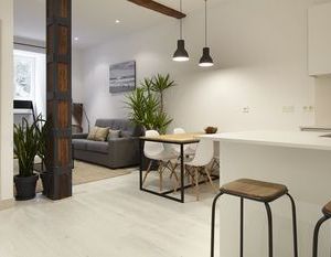 Bois et Fer Apartment by FeelFree Rentals San Sebastian Spain