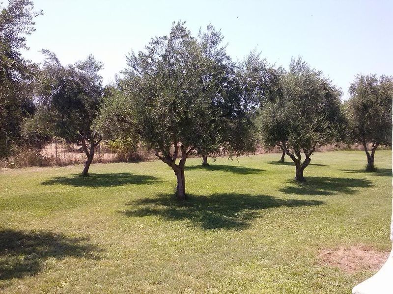 صورة الفندق 10