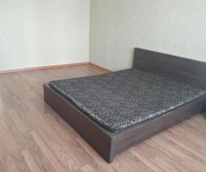 Apartment on Salmyshskaya 72 Orenburg Russia