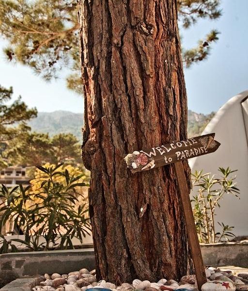 صورة الفندق 16