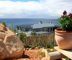 The Flying Penguin Simons Town South Africa