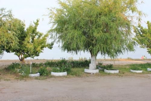 صورة الفندق 15