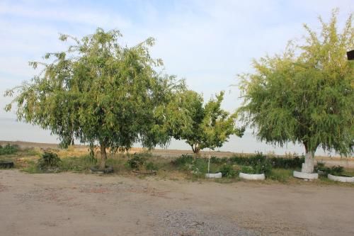 صورة الفندق 16