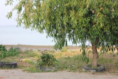 صورة الفندق 19