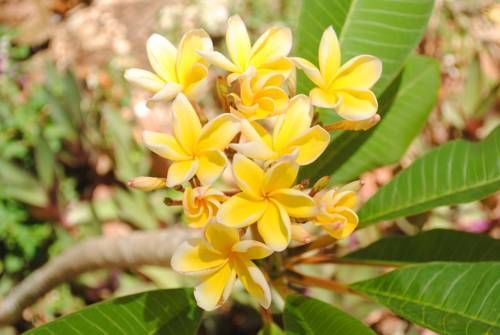 صورة الفندق 19