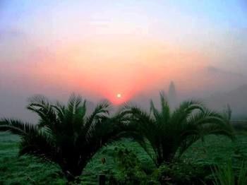 صورة الفندق 18