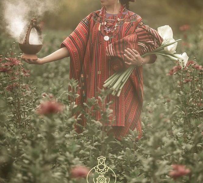 صورة الفندق 16