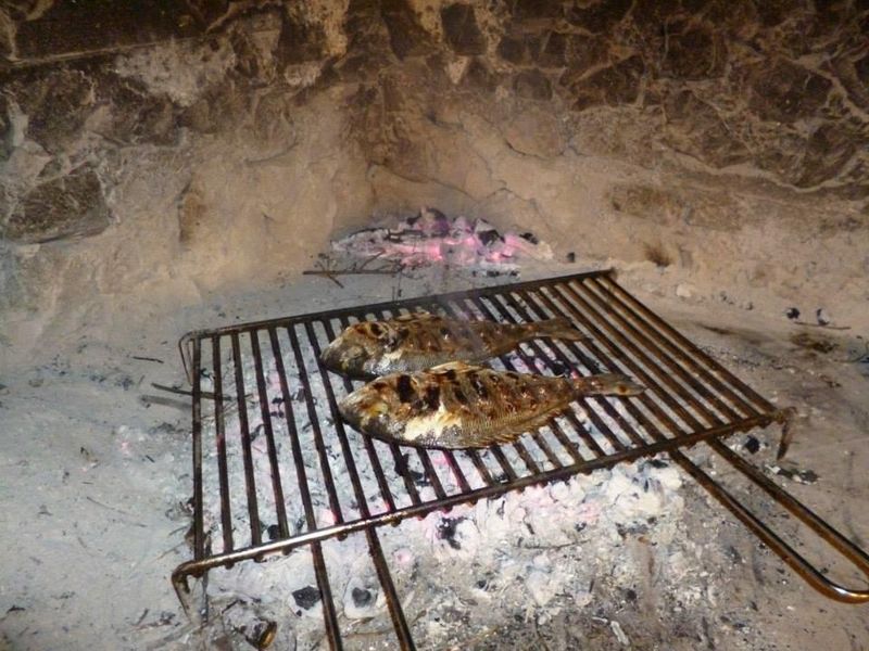 صورة الفندق 14
