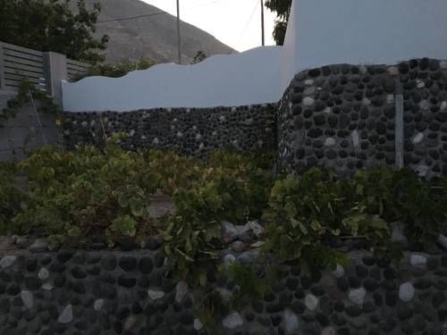 صورة الفندق 24