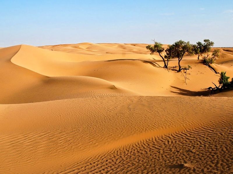 صورة الفندق 17