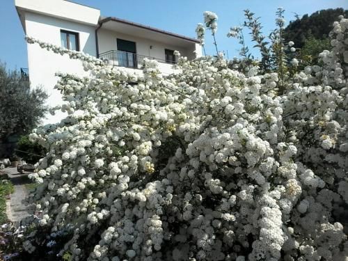صورة الفندق 20