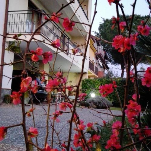 صورة الفندق 7