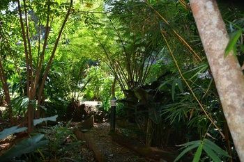 صورة الفندق 15