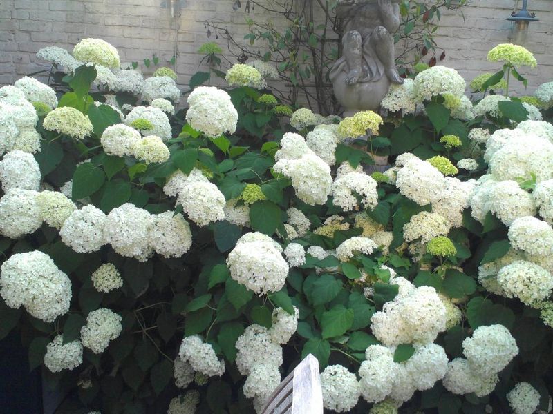 صورة الفندق 20