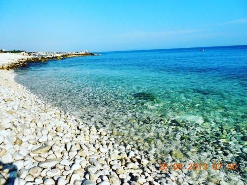صورة الفندق 22