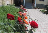 Отзывы The Zhibek-Zholu Guest House