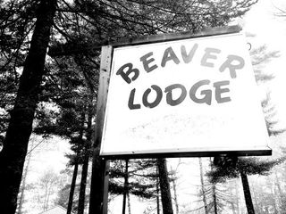 Фото отеля Eunica's Beaver Lodge