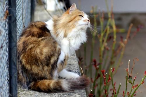صورة الفندق 23