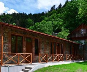 Guest House on Erekle Borjomi Georgia