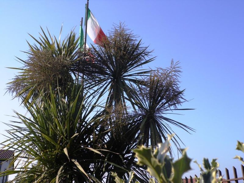 صورة الفندق 17