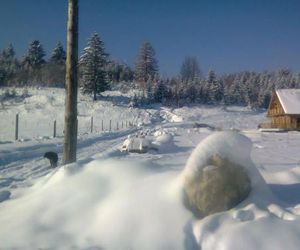 Farmhouse Rosehip Romania Brasov Risnov Romania