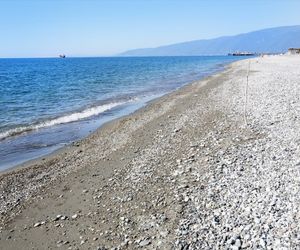 Pansionat "Sosnovaa Rosa" Pitsunda Abkhazia