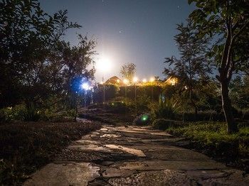 صورة الفندق 16