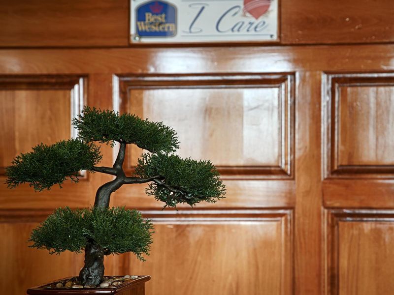 Hotel Photo 14