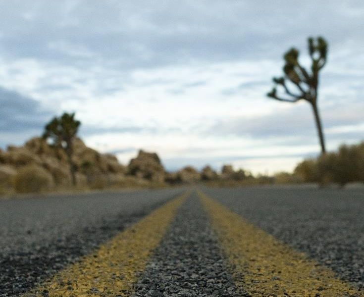 صورة الفندق 21