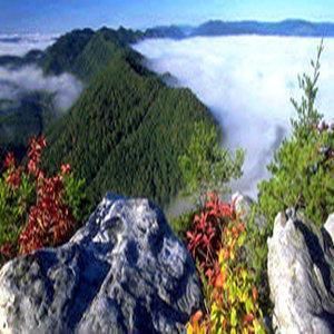 صورة الفندق 17