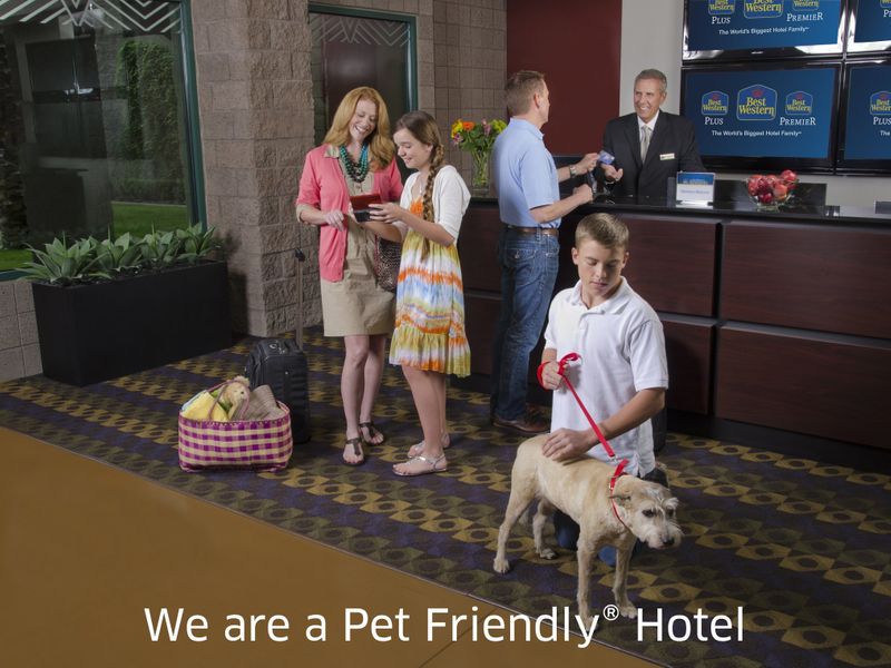 Hotel Photo 12