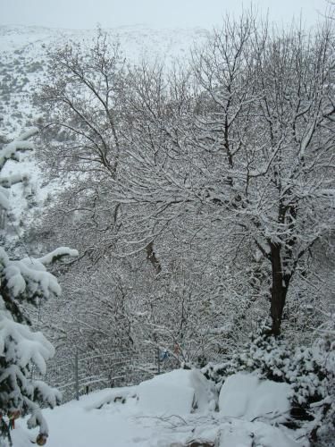 صورة الفندق 21