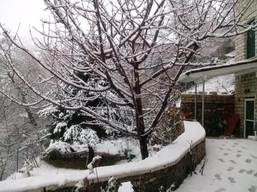 صورة الفندق 24