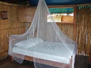 Фото отеля Cabañas Narasgandup (Naranjo Chico)