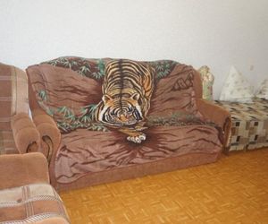 Cozy Apartment Radischceva 15/17 Saratov Russia