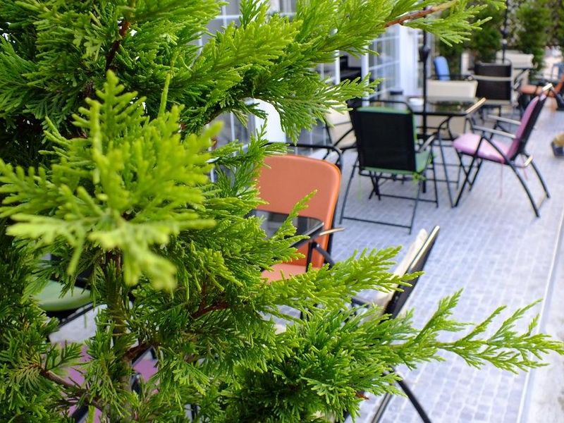 Hotel Photo 23
