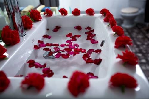 صورة الفندق 12