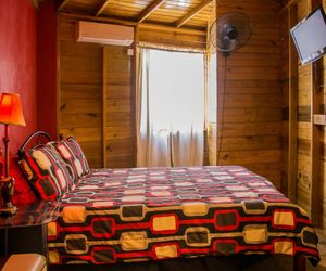 One32 Guest House Cherry Blossom Kingston Jamaica