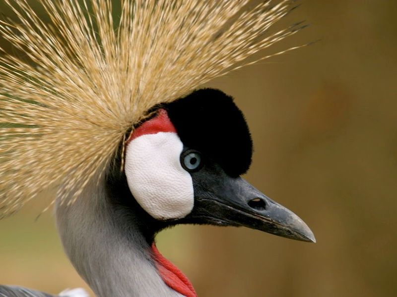 صورة الفندق 2