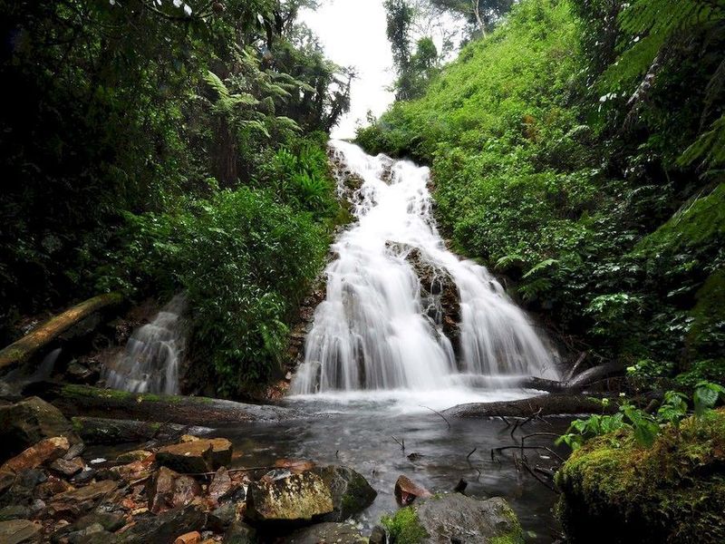 صورة الفندق 5