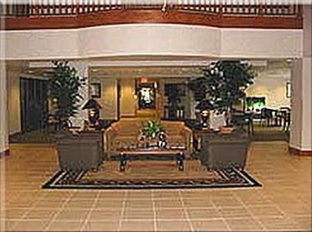 صورة الفندق 7